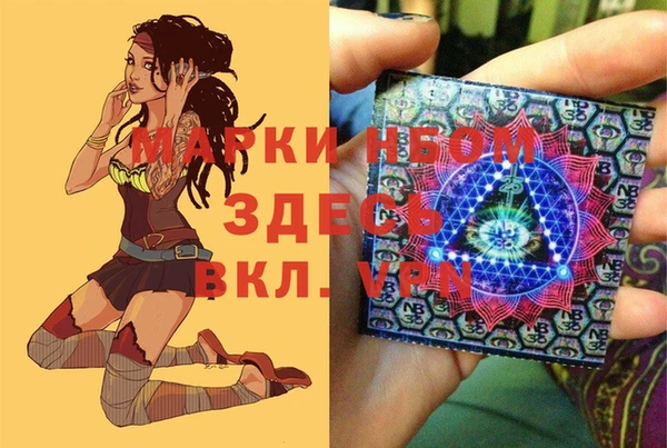 ГАЛЛЮЦИНОГЕННЫЕ ГРИБЫ Балахна