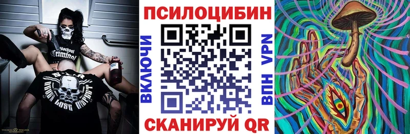 кракен онион  Воркута  Галлюциногенные грибы Psilocybine cubensis 