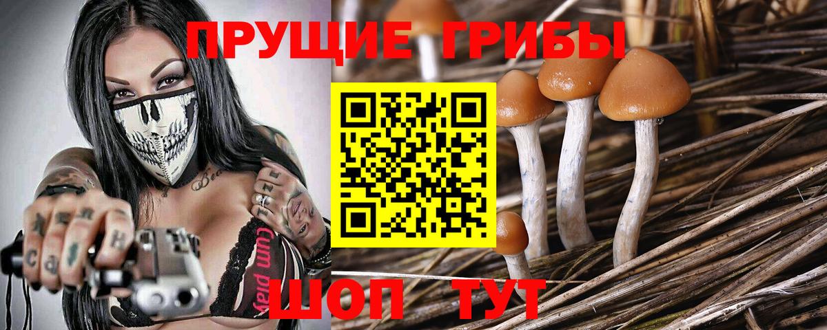 Псилоцибиновые грибы мухоморы  наркошоп  Вход с VPN  Воркута  Псилоцибиновые грибы мухоморы 