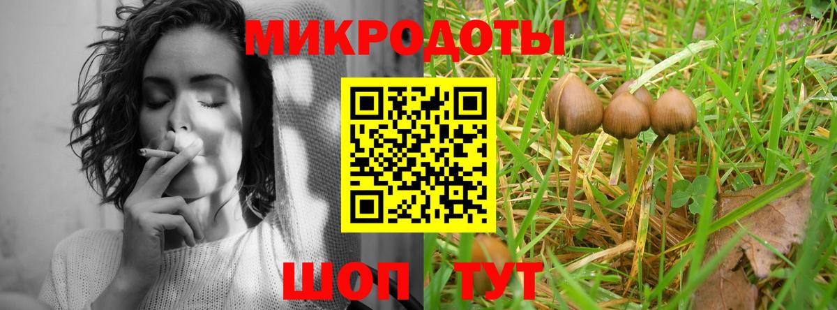 Галлюциногенные грибы Psilocybe Воркута